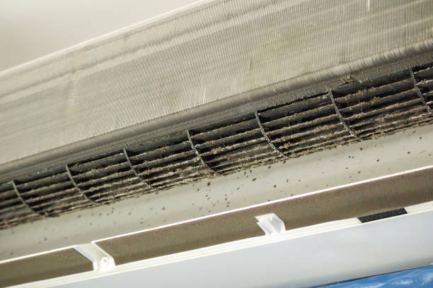 Best Air Duct Sanitizing Services  in Avondale Estates, GA