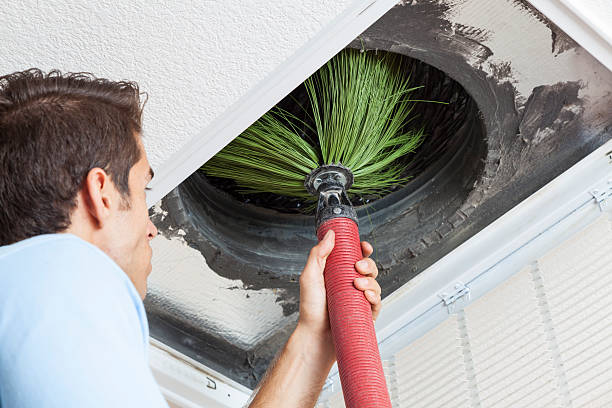 Best Dryer Vent Cleaning Services  in Avondale Estates, GA